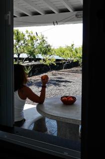 Casa Caminho da Barca - Madalena - 5