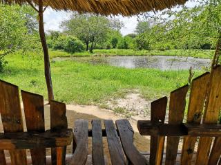Africa Safari Selous Nyerere national park - Nyakisiku - 3