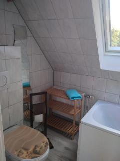 Ferienwohnung auf dem Land Mecklenburgische Seenplatte Müritz, ländliche Region - Below - 9