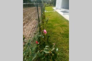 Alykes Volos - Volos - 1