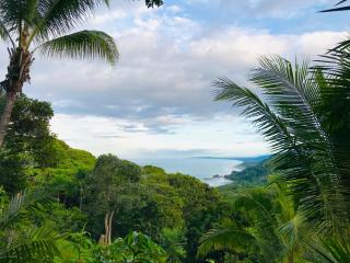 Pacific Edge Eco Lodge - Dominical - 8
