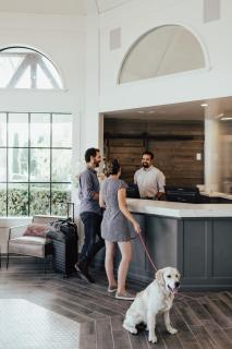 Vinland Hotel and Lounge - Solvang - 2
