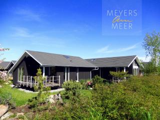 Schwarzes Holzferienhaus mit Sauna -- L I E B L I N G S P L A T Z -- an der Ostsee, Zierow bei Wismar, Strand 500m, alles inklusive - Zierow - 1