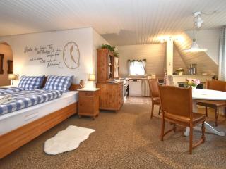 Attractive apartment in Franconia with garden - Weißenbrunn - 1