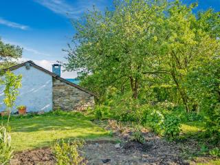 Cottage in Vielsalm with Terrace - Vielsalm - 4