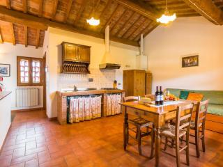 Scenic Mansion in Pian di Sco with Private Terrace - Pian di Scò - 7
