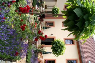 Hofgärtnerei - Altemburgo - 9