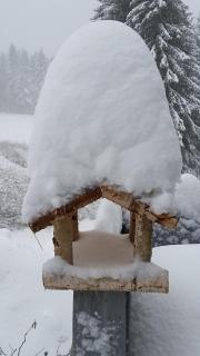 Pension Holl und Boll Am Hexenstieg. - Clausthal-Zellerfeld - 2