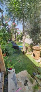 The Butterflies Wood House - 5