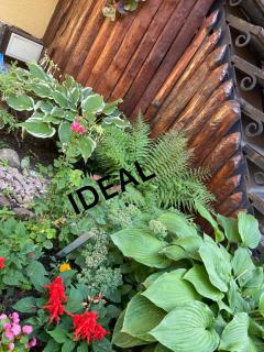 Ideal Hotel - Vinnytsya - 3