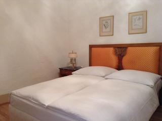 Auberge du Raisin - 8