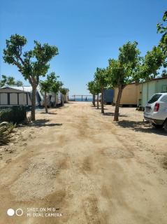 Camping el Pinar Platja - Santa Susanna - 6