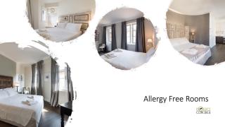 Novella Goldoni Suite-by Florence Concierge - Firenze - 0