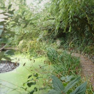 B&B Aquavert - Tournai - 5