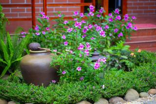 Việt Xưa Homestay - 6
