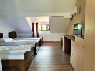 Casa Muscelelor - Pietroşani - 3