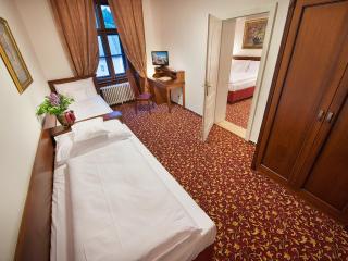 EA Zamecky Hotel Hruba Skala - Hrubá Skála - 9