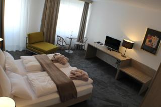 Garni Hotel Schmaus - Viechtach - 2