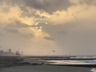 Hotel Palm Beach - Lido di Jesolo - 2