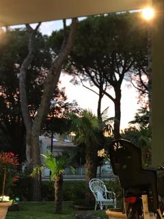 Hotel Palm Beach - Lido di Jesolo - 3