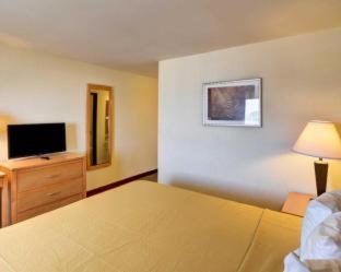 Quality Inn DFW Airport North - Irving - 7