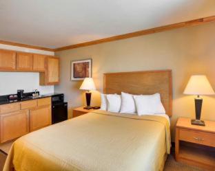 Quality Inn DFW Airport North - Irving - 5