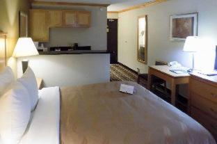 Quality Inn DFW Airport North - Irving - 2