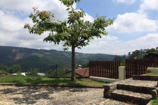 Casa de Madeira - Palmaz - 4