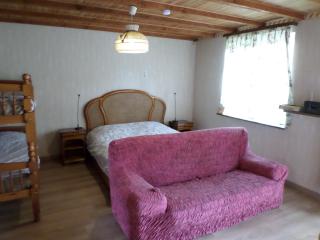 Studio-appartement à proximité d'une maison de Maître de 1904 - Haguenau - 6