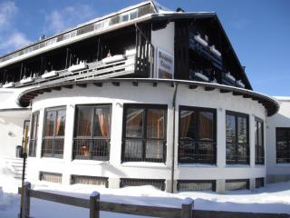 Hotel Dolomiti Chalet - Vason - 4
