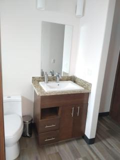 Suite Loft Deslumbrante Salida a México 102A - Querétaro - 4