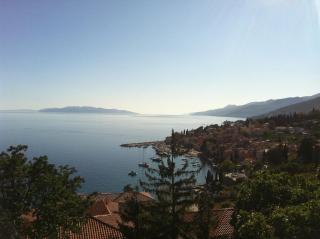Apartments Green Garden - Opatija (Abbazia) - 2