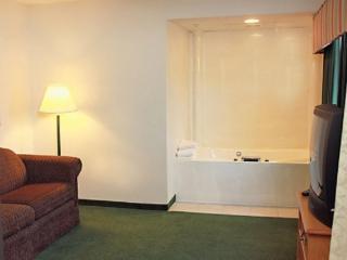 Americas Best Value Inn - Annandale - 7