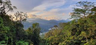 Hills Sanctuary Retreat, B7-3A-2 with WI-FI - Bukit Fraser - 9