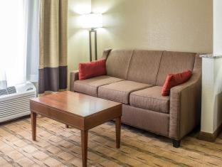 Comfort Inn & Suites Cedar Rapids North - Collins Road - 5
