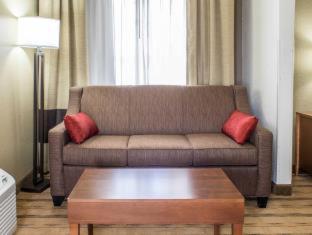 Comfort Inn & Suites Cedar Rapids North - Collins Road - 4