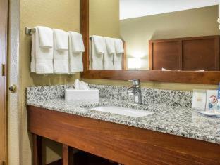 Comfort Inn & Suites Cedar Rapids North - Collins Road - 3