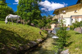 Room Gabrijel with four seasons outdoor kitchen - 2