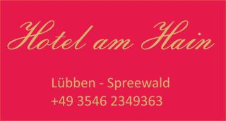 Hotel am Hain - Lübben - 9