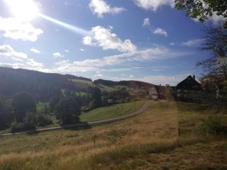 Haus Elena - Bestwig - 6
