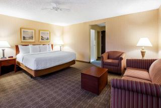 La Quinta Inn by Wyndham Detroit Southgate - Southgate - 8