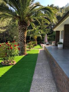 Casa Picarany - 5