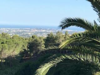 Casa Picarany - Almoster - 4