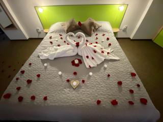Vila William’s - Brasov - 7