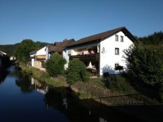 Ferienhaus 1 An der Rodach - Steinwiesen - 9
