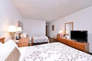 America's Best Value Inn & Suites International Falls - International Falls - 7