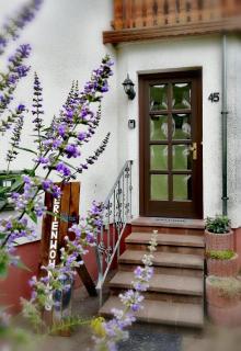 Ferienwohnung Konz - Merzig - 9
