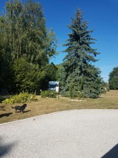 Ferme bressane les Arums - Mervans - 4
