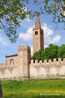 Hotel Aldo Moro - Montagnana - 9