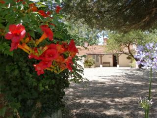 Camping La Loire Fleurie - Le Perrier - 5
